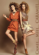 vignette selection camel