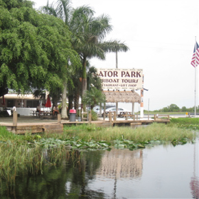 Miami : excursion au parc national des Everglades